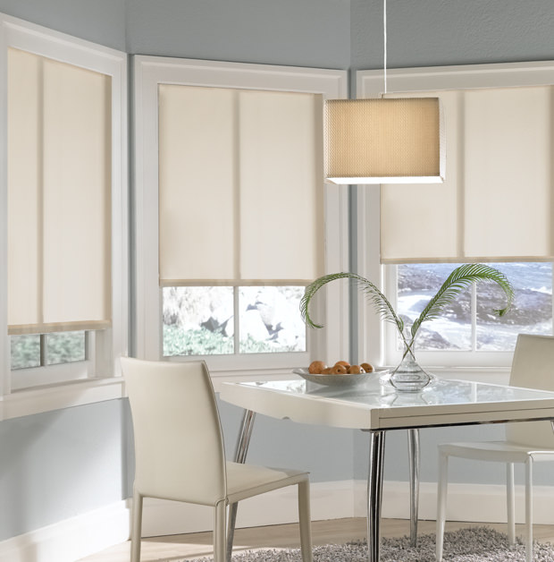 Roller shades in Tampa
