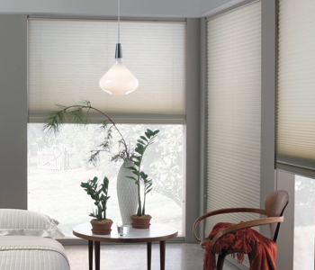 cellular shades in Tampa house