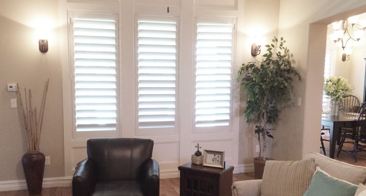 Tampa family room white shutters